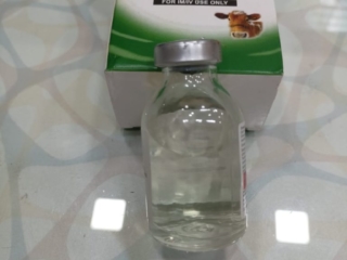 WhatsApp Image 2022-05-04 at 12.04.10 PM